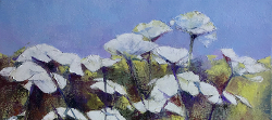 Cow Parsley | 2020 | Oil on Canvas | 30 x 40 cm